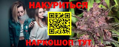 сатива Будённовск