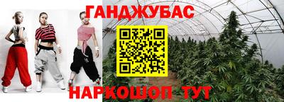 сатива Будённовск